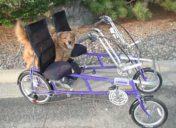 Biking Dog Charley Brown waits on the cargo platform of Quadribent to go for a ride.