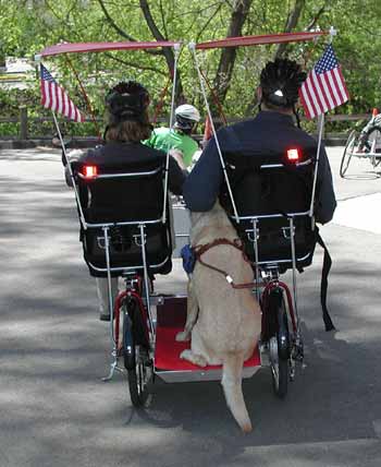 A view from the back of the Quadribent with two riders and Yellow Lab service dog.