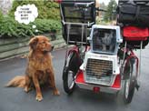 Cargo platform for carrying all sorts of things, perhaps even your pet