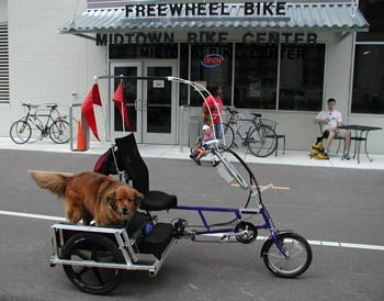 Sidecar with dog 1